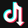 TikTok Downloader Logo
